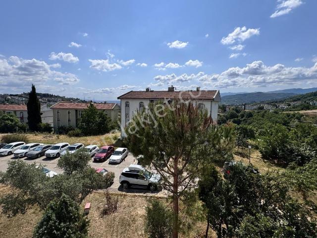 Gölcük, Kocaeli içerisinde kiralık mülk