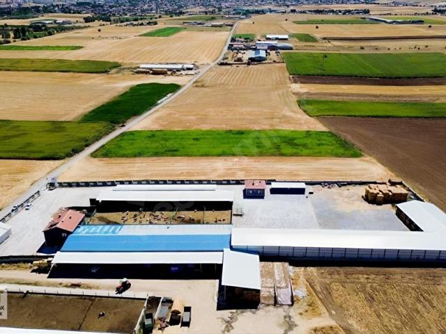 Sarayönü, Konya içerisinde satılık Fabrika