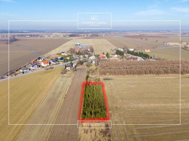 Grunt na sprzedaż w Łowęcin, Wielkopolskie