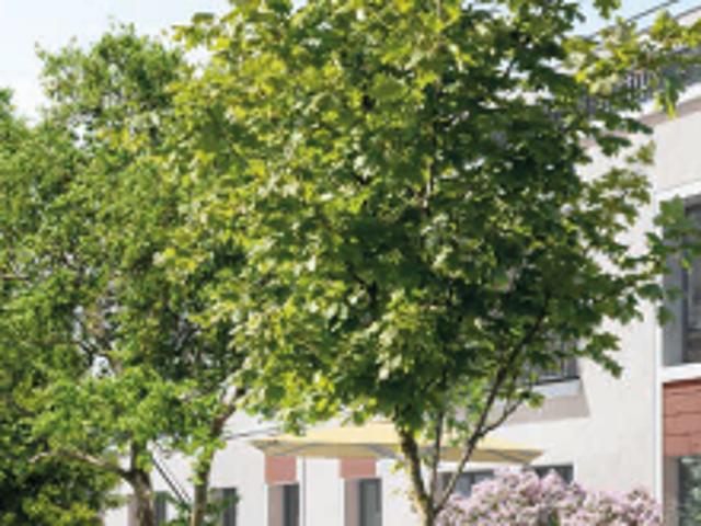 Appartement vente à Sarcelles