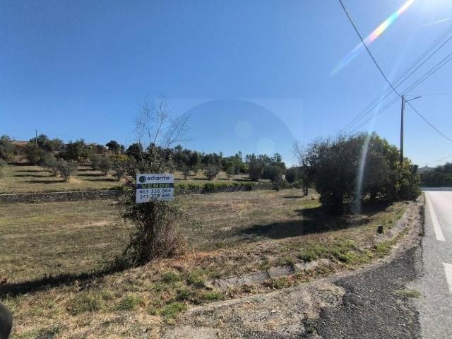 Terreno venda em Sardoal, Santarém