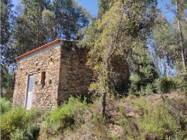 Terreno venda em Sardoal, Santarém