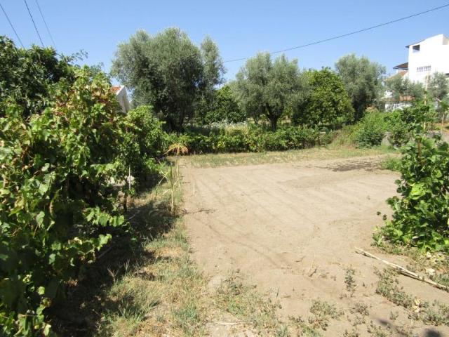 Terreno venda em Sardoal, Santarém