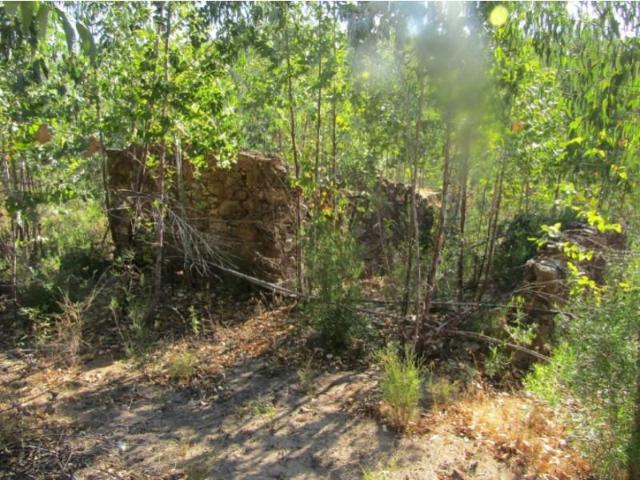 Terreno venda em Sardoal, Santarém
