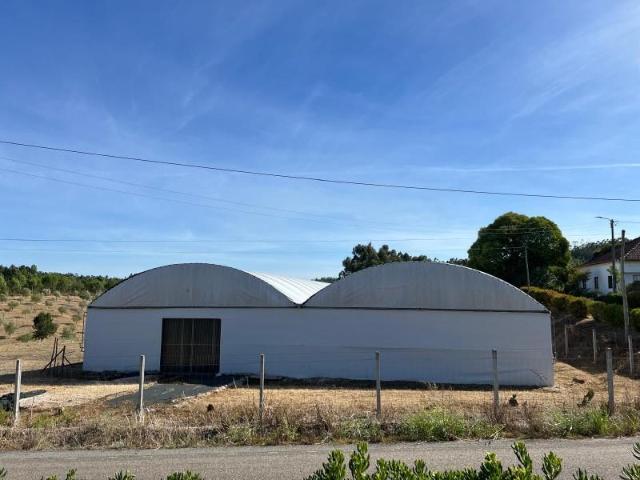 Terreno alugar em Sardoal, Santarém
