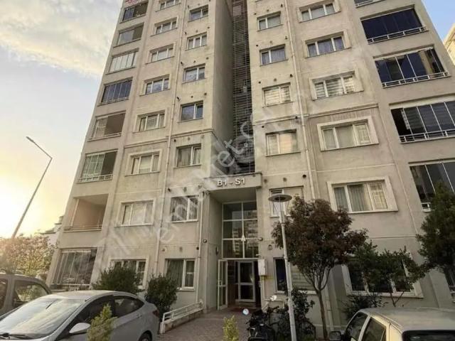 Canik, Samsun içerisinde kiralık mülk