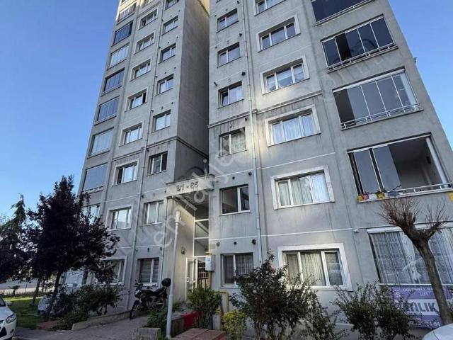Canik, Samsun içerisinde kiralık mülk