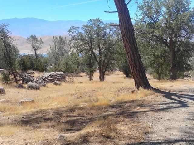 Land for sale in Wofford Heights, California