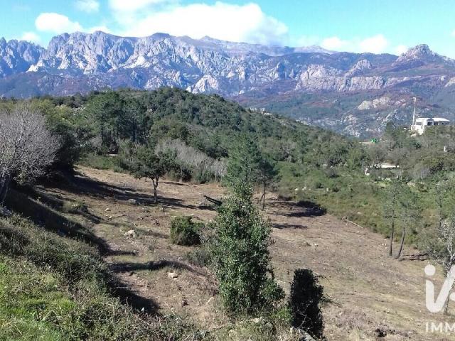 Terrain vente à Sartène, Sari-solenzara