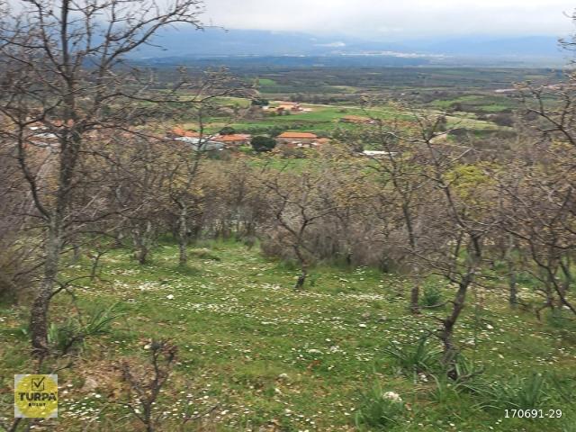 Bergama, İzmir içerisinde satılık mülk