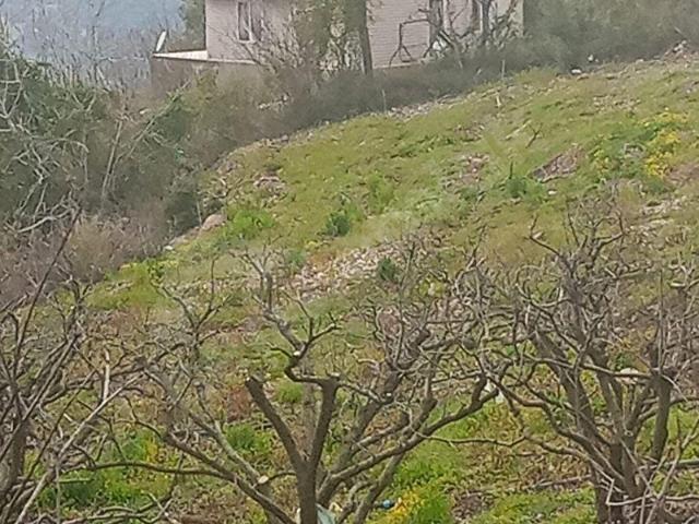 Çamliyayla, Mersin içerisinde satılık mülk