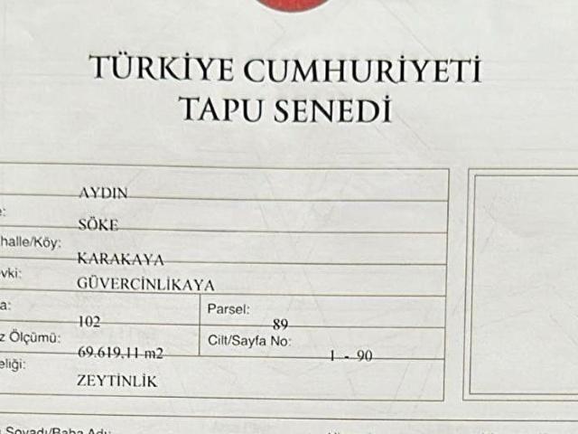 Söke, Aydin içerisinde satılık mülk