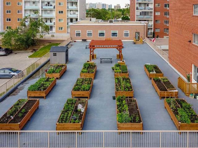 Apartment for rent in North Kildonan, Winnipeg
