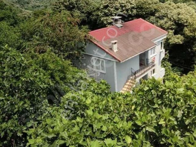 Sariyer, İstanbul içerisinde satılık mülk