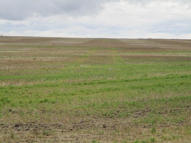 Land for sale in North Dakota