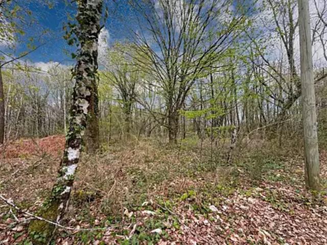 Terrain vente à Périgueux, Sarliac-sur-l'isle