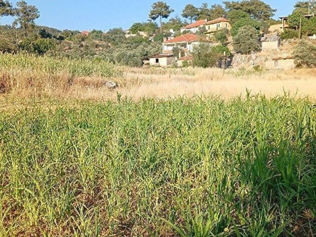 Muğla içerisinde satılık Arsa