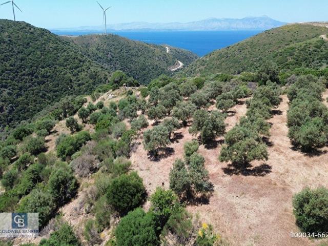 Karaburun, İzmir içerisinde satılık Arsa