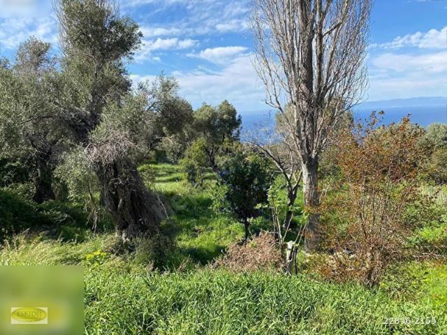 Karaburun, İzmir içerisinde satılık Arsa