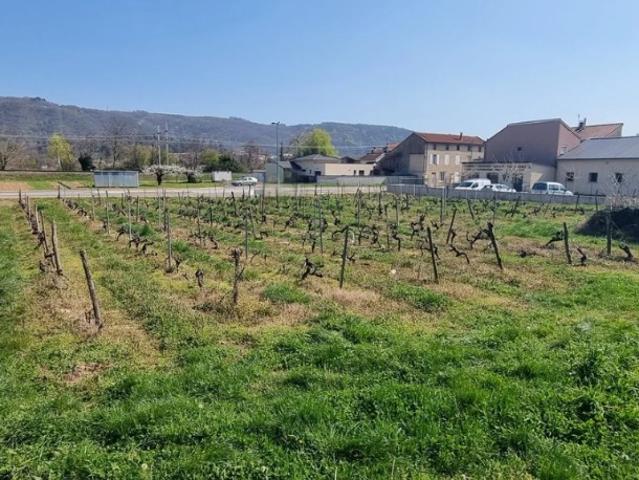 Terrain vente à Tournon-sur-Rhône, Sarras