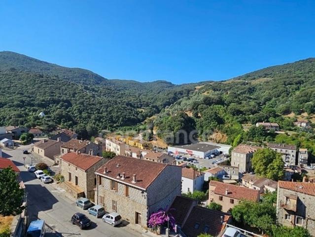 Appartement vente à Sartène