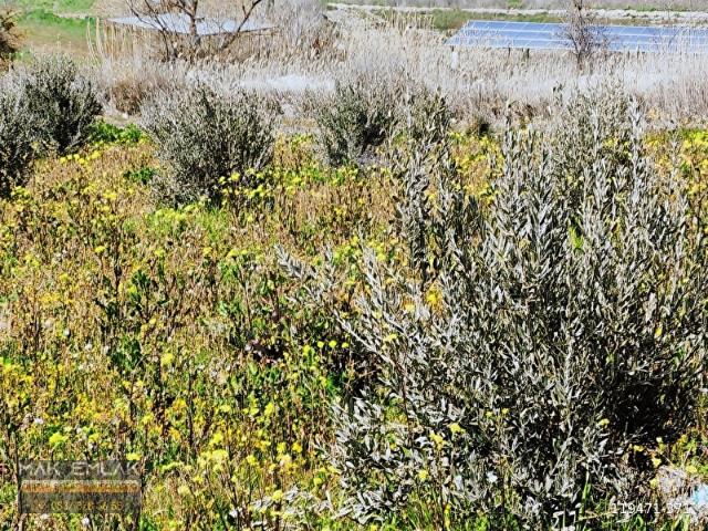 Saruhanli, Manisa içerisinde satılık Arsa