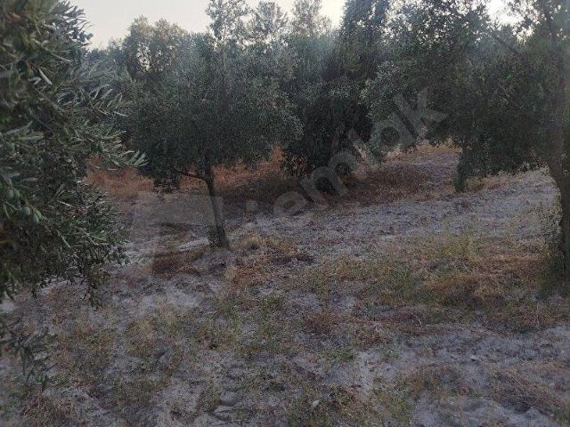 Saruhanli, Manisa içerisinde satılık mülk