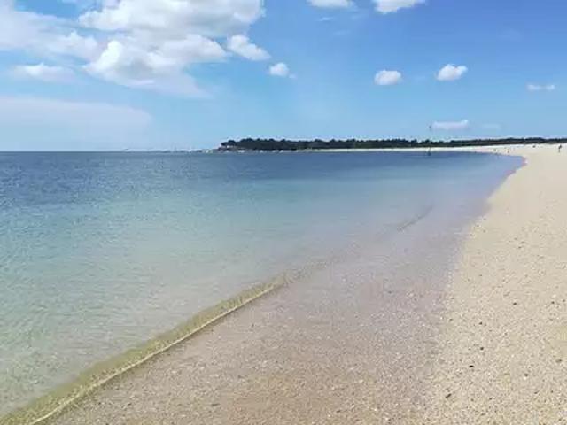 Terrain vente à Vannes, Bretagne