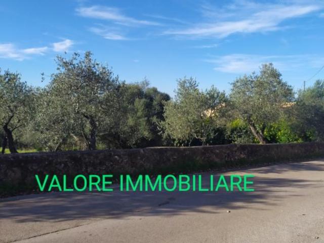 Terreno in vendita a Cala Di Volpe, Sardigna/Sardegna