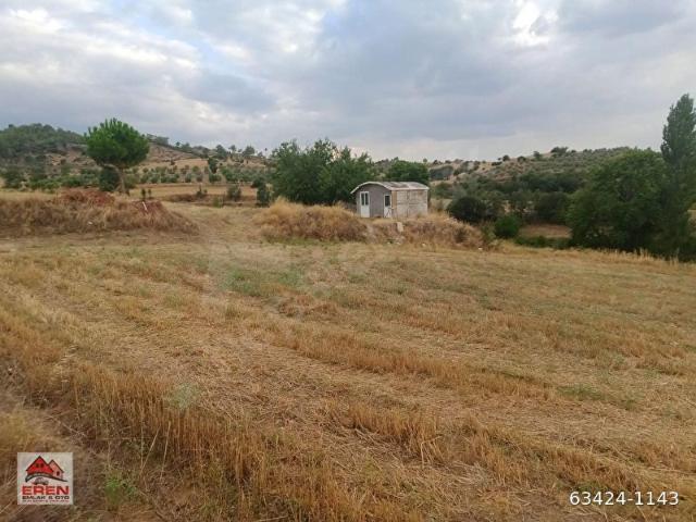 Kavaklidere, Muğla içerisinde satılık Fabrika