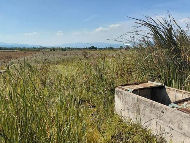 Tütüncü, Gönen içerisinde satılık Arsa