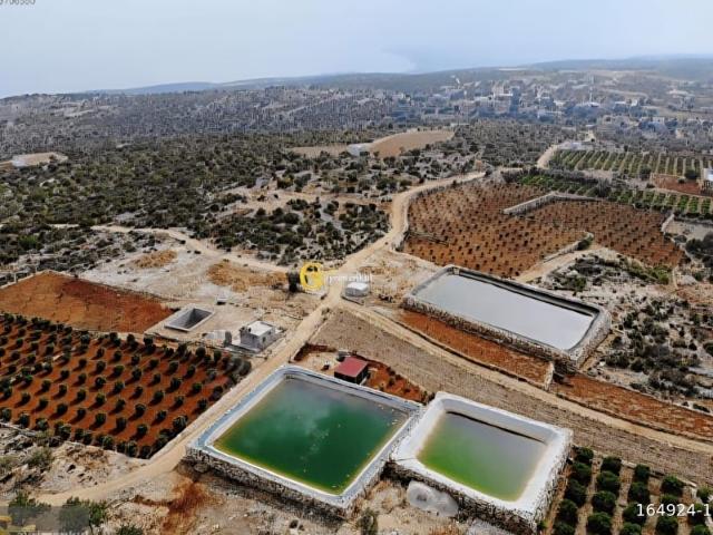 Silifke, Mersin içerisinde satılık Arsa