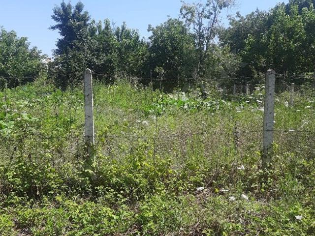 Bafra, Samsun içerisinde satılık Arsa