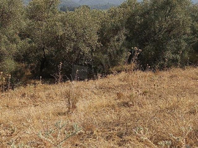 Ula, Muğla içerisinde satılık Arsa