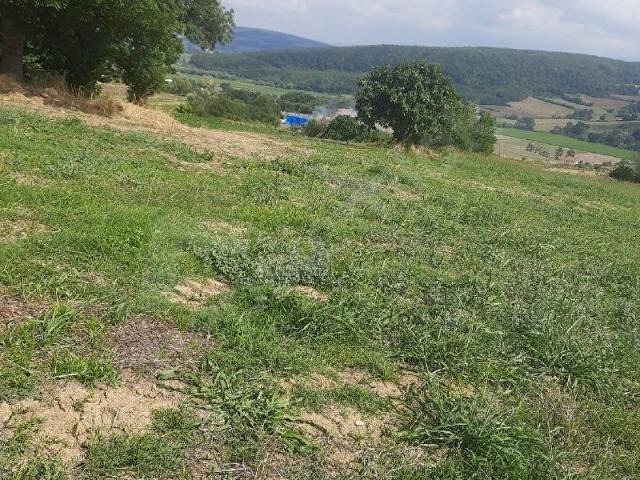 Bafra, Samsun içerisinde satılık mülk