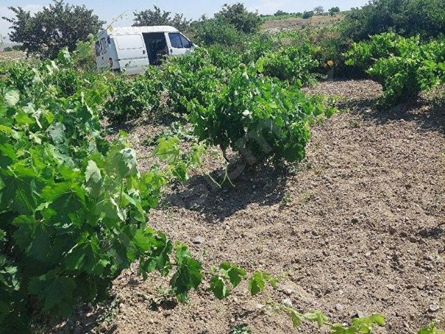 Ürgüp, Nevşehir içerisinde satılık Arsa