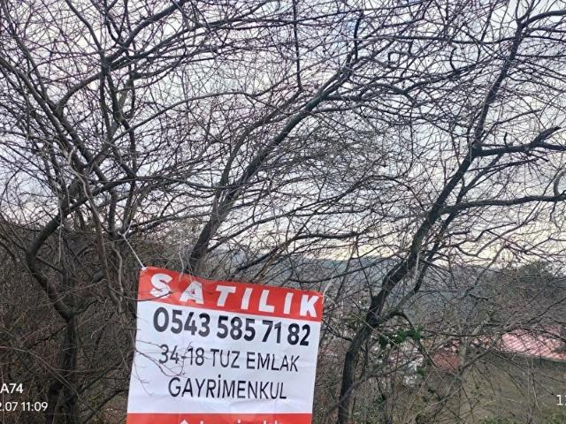 Beykoz, İstanbul içerisinde satılık mülk