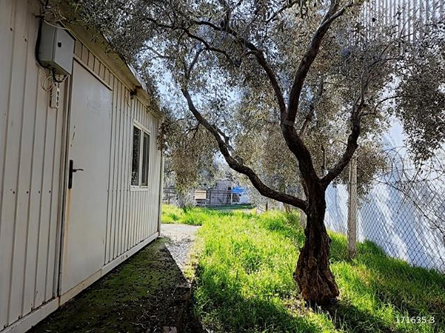 Buca, İzmir içerisinde satılık mülk