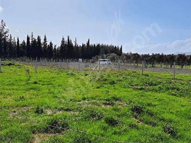 Menderes, İzmir içerisinde satılık mülk