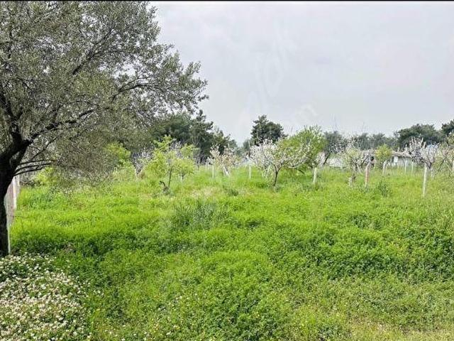 Menderes, İzmir içerisinde satılık Arsa