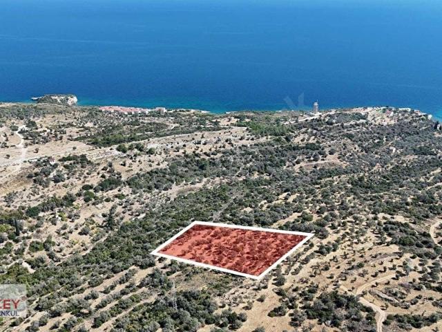 Anbarseki Mahallesi, Karaburun içerisinde satılık Arsa