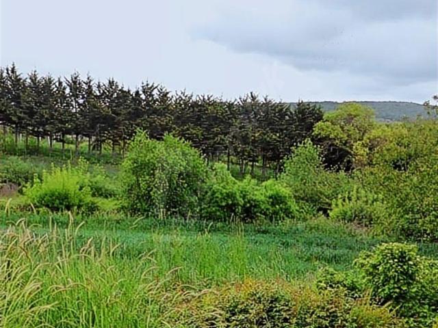Arnavutköy, İstanbul içerisinde satılık Arsa