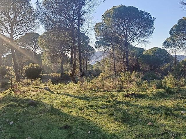 Bergama, İzmir içerisinde satılık Arsa