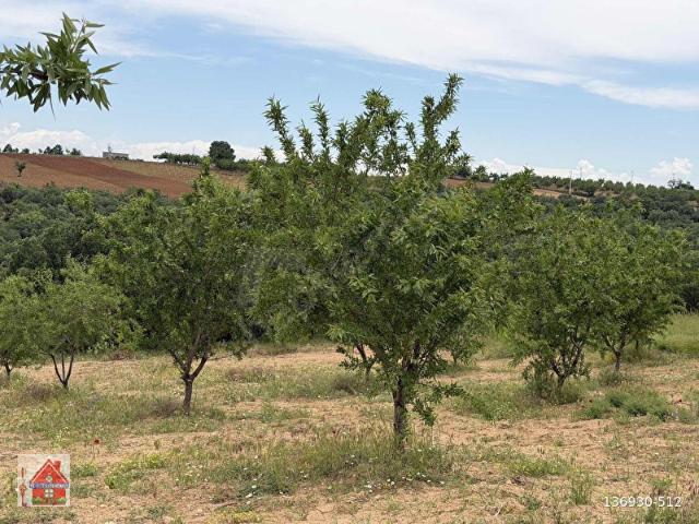 Eşme, Uşak içerisinde satılık Arsa