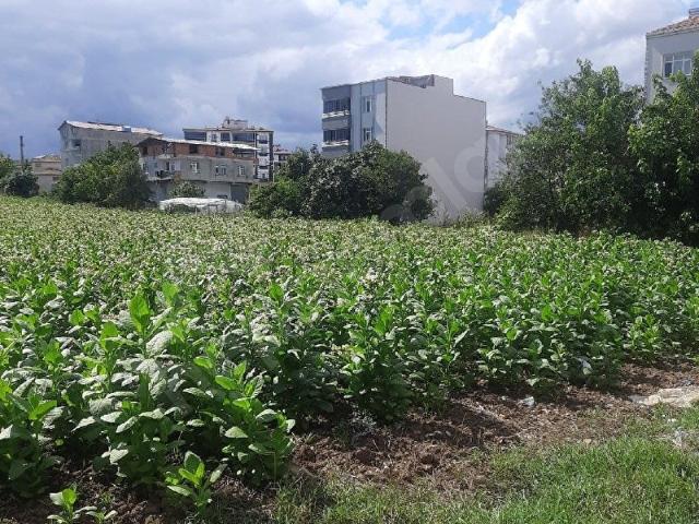 Bafra, Samsun içerisinde satılık Arsa