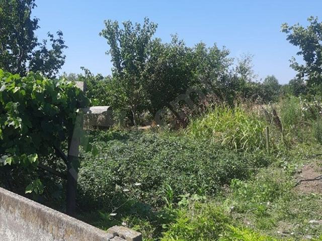 Bafra, Samsun içerisinde satılık Arsa