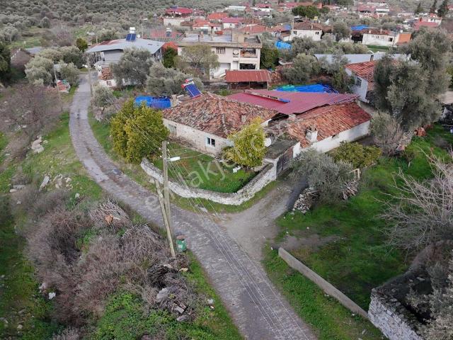 Bozdoğan, Aydin içerisinde satılık Bahce kati