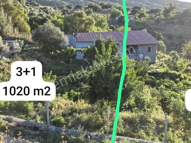 Cami, Söke içerisinde satılık Bahce kati