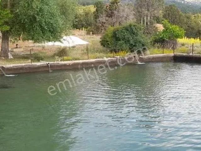 Burdur Merkez, Burdur içerisinde satılık Villa
