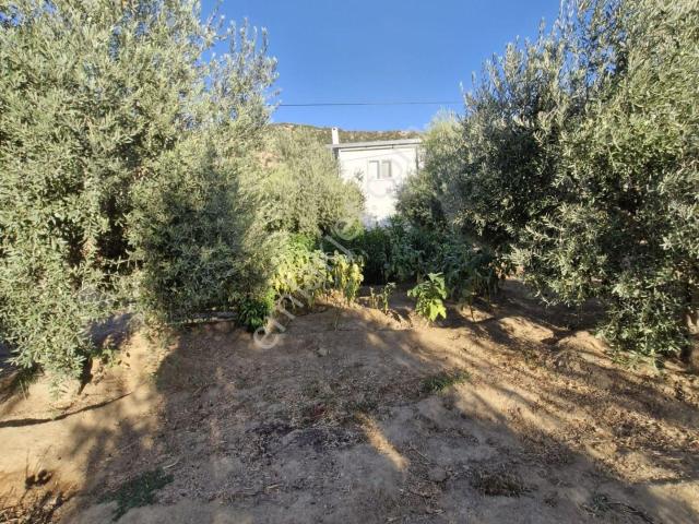 Nazilli, Aydin içerisinde satılık Villa